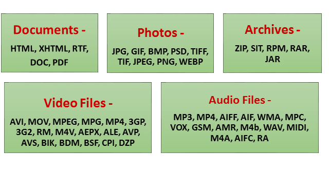 Supported File Types